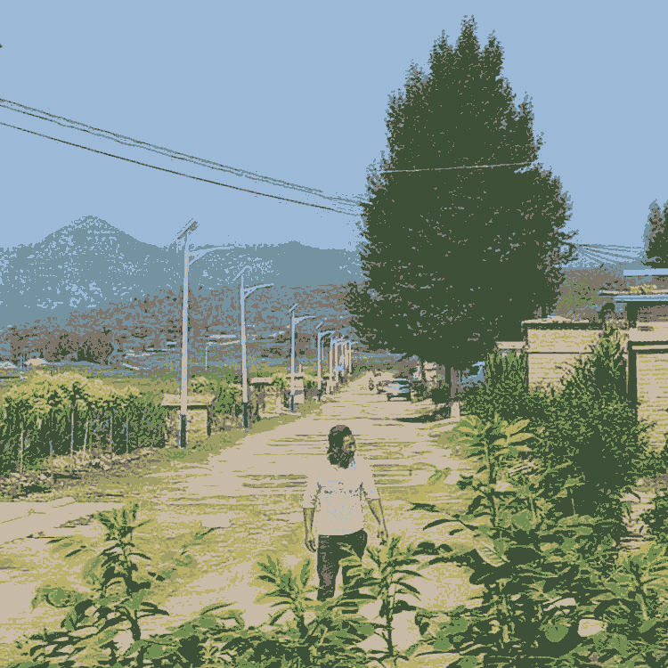 太陽能LED路燈綠色環保歡迎咨詢